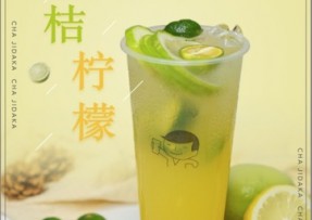 雨燕直播：金桔柠檬